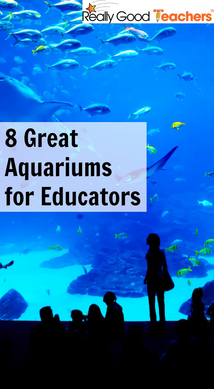 8 Great Aquariums for Educators - ReallyGoodTeachers.com