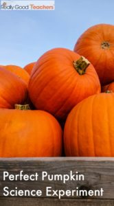 Perfect Pumpkin Science - Really Good Teachers™ Blog and Forum | A ...